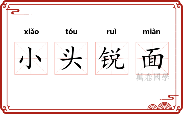 小头锐面