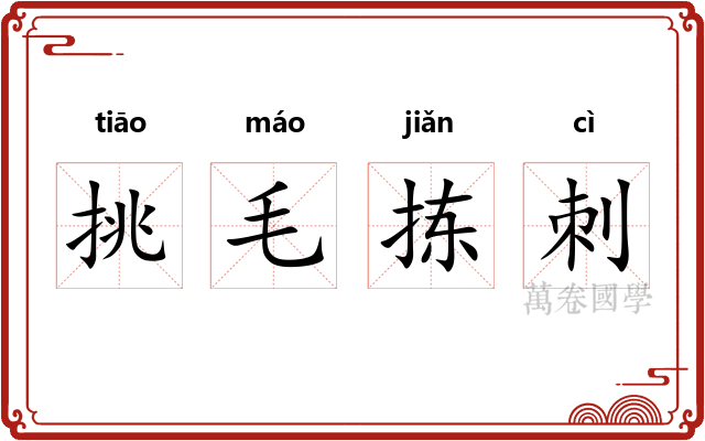 挑毛拣刺