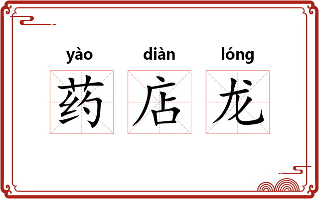 药店龙