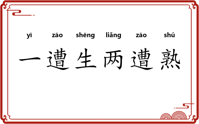 一遭生两遭熟