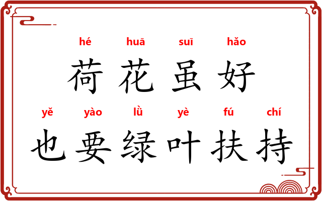 荷花虽好，也要绿叶扶持