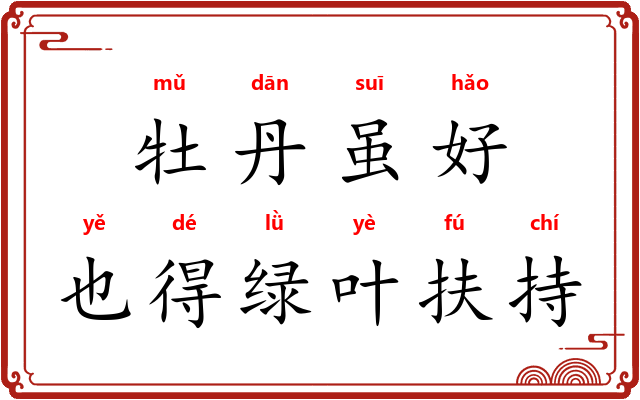 牡丹虽好，也得绿叶扶持