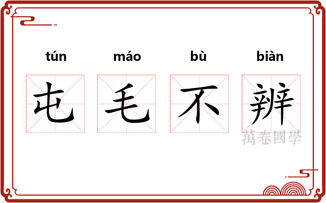 屯毛不辨