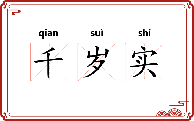 千岁实