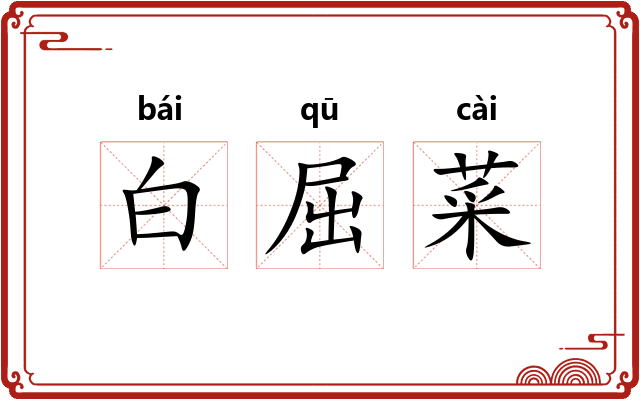 白屈菜 白屈菜