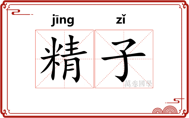 精子 精子