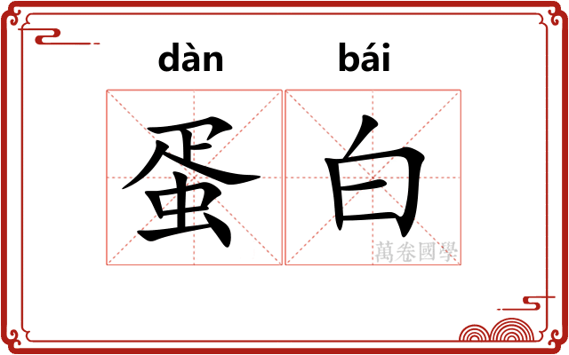 蛋白