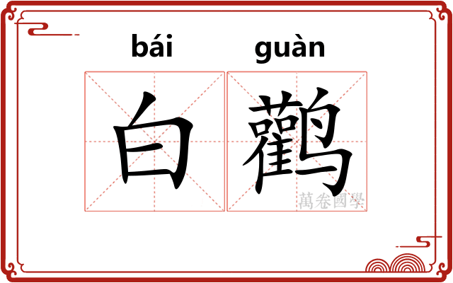 白鹳