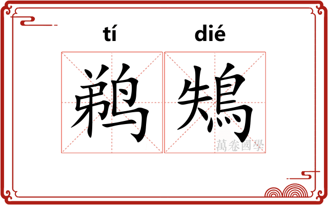 鹈鴩
