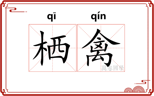 栖禽