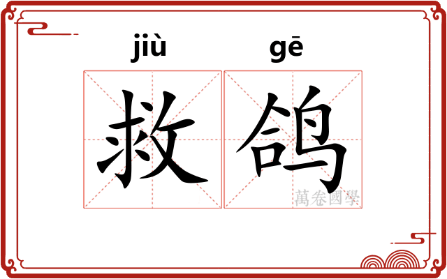 救鸽
