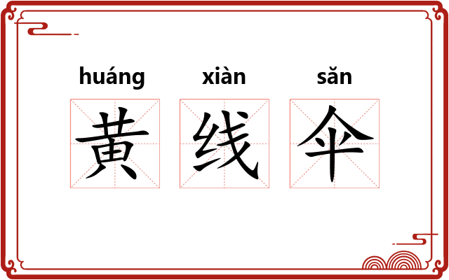 黄线伞 黄线伞