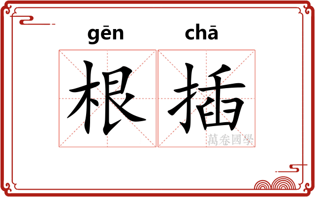 根插