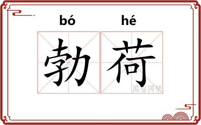 勃荷