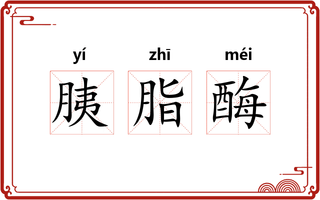 胰脂酶
