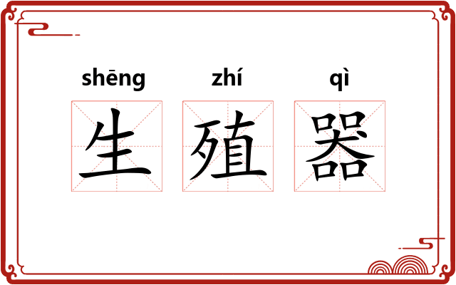 生殖器