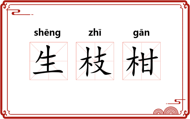 生枝柑 生枝柑