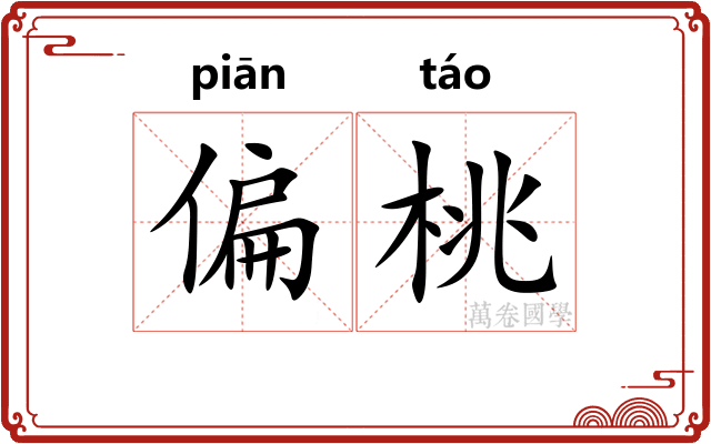 偏桃 偏桃