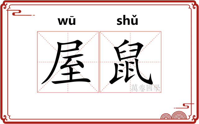 屋鼠