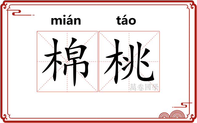 棉桃