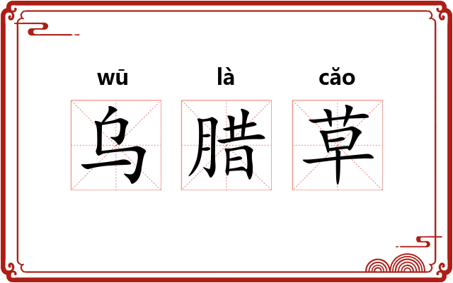 乌腊草