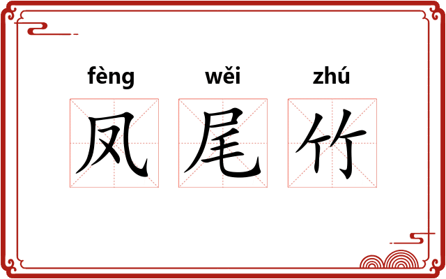凤尾竹 凤尾竹