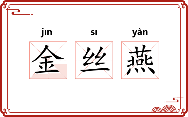 金丝燕