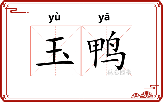玉鸭