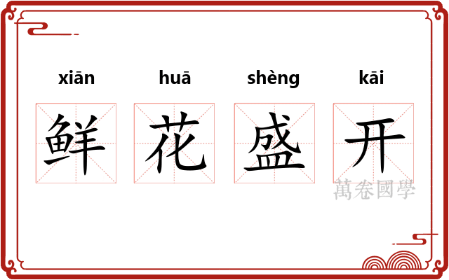 鲜花盛开