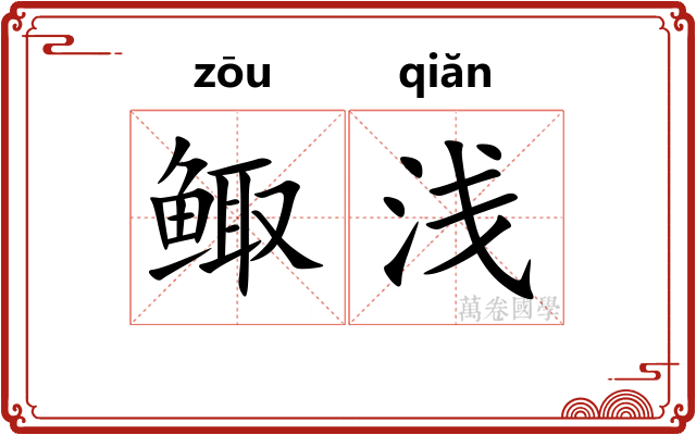 鲰浅