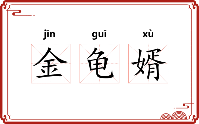 金龟婿 金龟婿