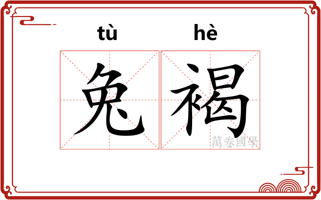 兔褐