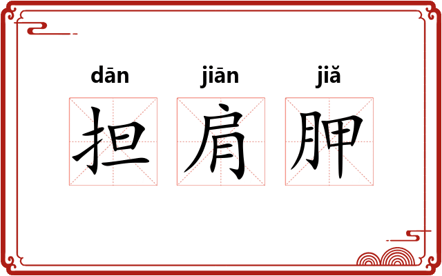 担肩胛