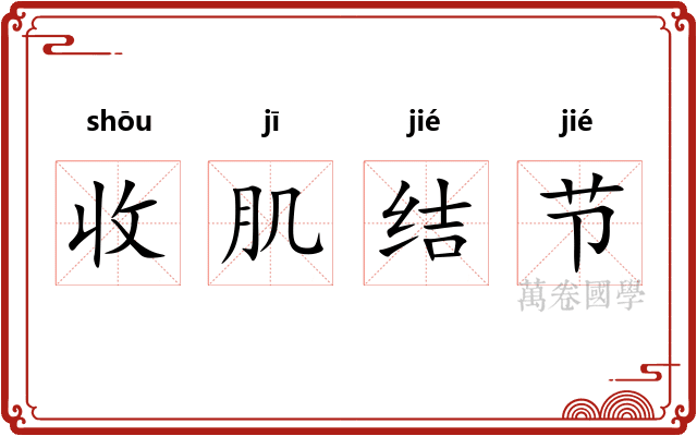 收肌结节 收肌结节