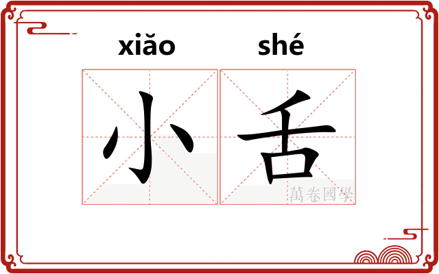 小舌