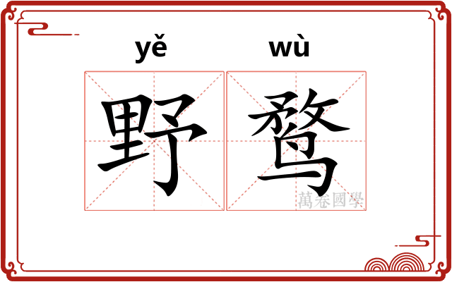 野鹜