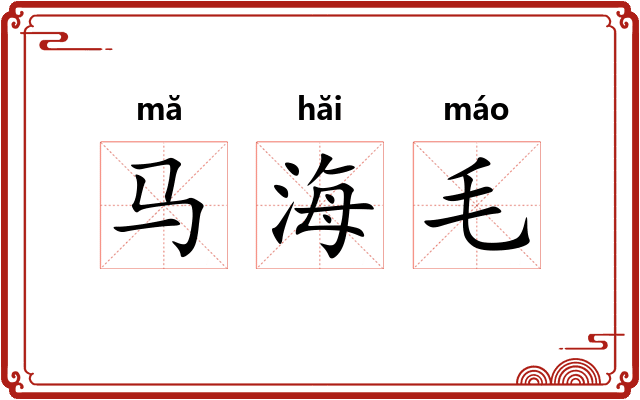 马海毛