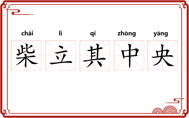 柴立其中央