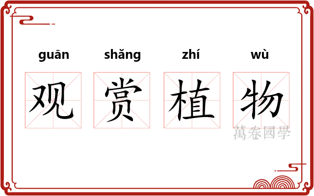 观赏植物