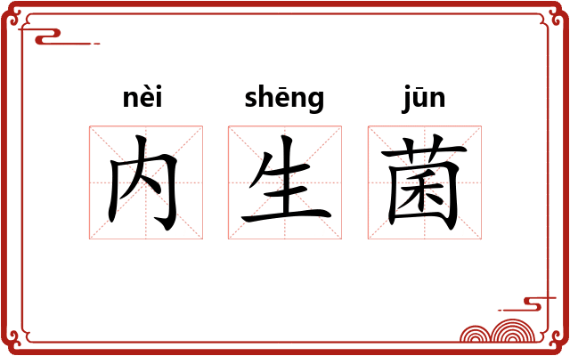 内生菌