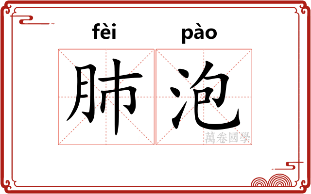 肺泡