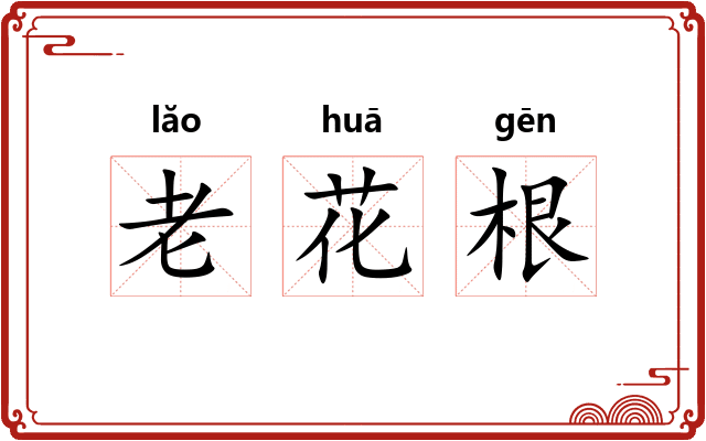 老花根