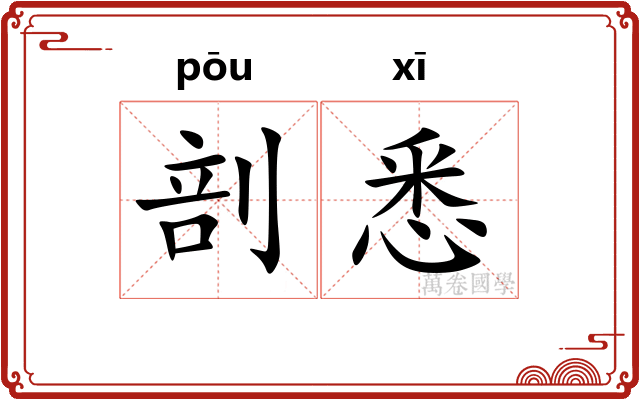 剖悉