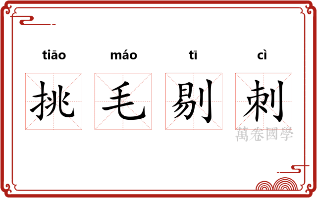 挑毛剔刺