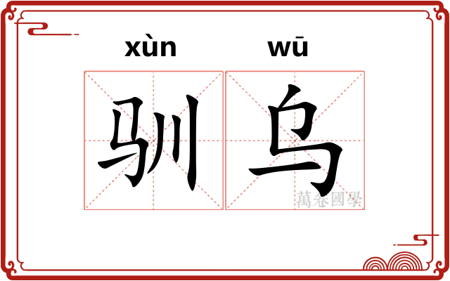 驯乌 驯乌
