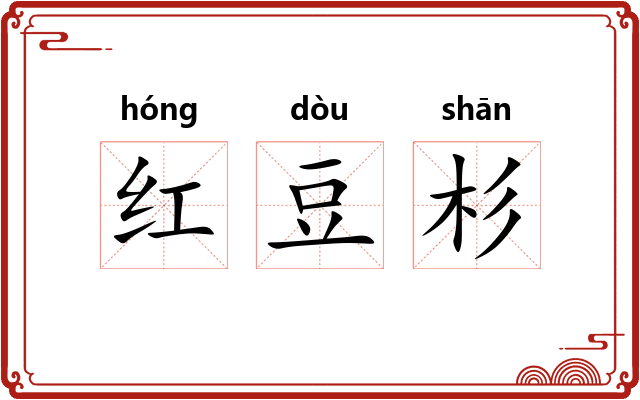 红豆杉