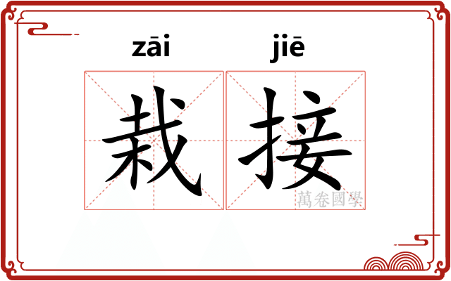 栽接