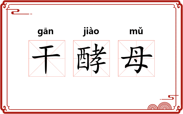 干酵母
