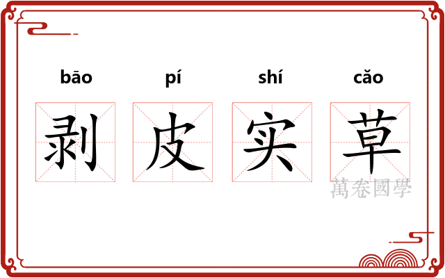 剥皮实草