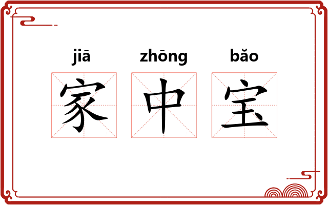 家中宝 家中宝